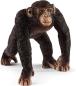 Preview: SCHLEICH 72162 Wild Life Basic Kit VERPACKUNGSSCHADEN