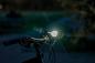 Preview: Prophete 6082 LED-Batteriescheinwerfer, schwarz, 80 Lux