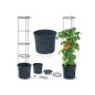 Preview: Prosperplast Anzuchttopf für Tomaten mit Rankhilfe - wetterfest & UV-beständig | ideal für Garten & Terrasse (29,5 cm)