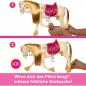 Preview: Mattel HXJ42 - Barbie bewegliches Pferd -  Pferdeabenteuer - Tanz und Show Pferd - mit Zubehör