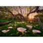 Preview: HEYE MAGIC FORESTS 29906 - PUZZLE 1000 CALLA CLEARING ca. 50 x 70 cm