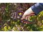 Preview: WOLF Garten HRR 4000 Bypass Gartenschere »Premium Plus« Max. Schnittleistung: 22 mm