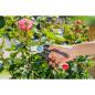 Preview: Gardena EcoLine Gartenschere Pflanzenschere mit Bypass-Schneide - 18 mm Schneiddurchmesser