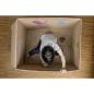 Preview: STABILO woody 3 in 1 - Buntstifte 10er Pack mit Spitzer 