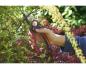 Preview: WOLF Garten HRR 4000 Bypass Gartenschere »Premium Plus« Max. Schnittleistung: 22 mm