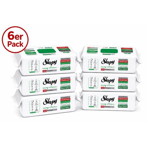 6x Sleepy 8933 Easy Clean Oberflächenreinigungstuch Putztücher 1 Pack 100 Blatt GRÜN Weisser Seifenzusatz