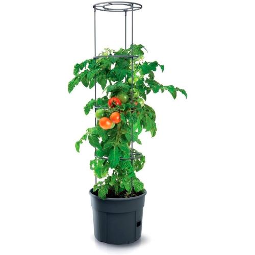 Preview: Prosperplast Anzuchttopf für Tomaten mit Rankhilfe - wetterfest & UV-beständig | ideal für Garten & Terrasse (29,5 cm)