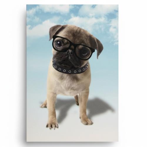 Home Ideas Wohndecke mit Tiermotiv Größe ca. 150 x 200 cm Hell Blau - Hund MOPS