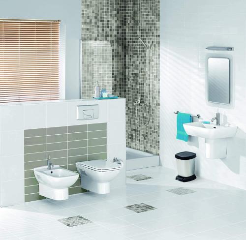 Rotho Paso Mülleimer 6l für das Bad mit Deckel, Kunststoff (PP) BPA-frei, carbon metallic, 6l (23,4 x 21,9 x 29,2 cm)
