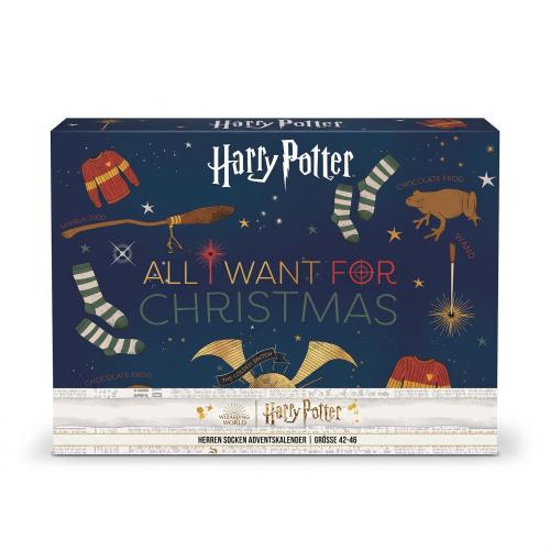 HARRY POTTER - HERREN Adventskalender 12 Paar Socken 42-46 ( 6 Paar Socken & 6 Paar Sneaker ) ALL I WANT FOR CHRISTMAS