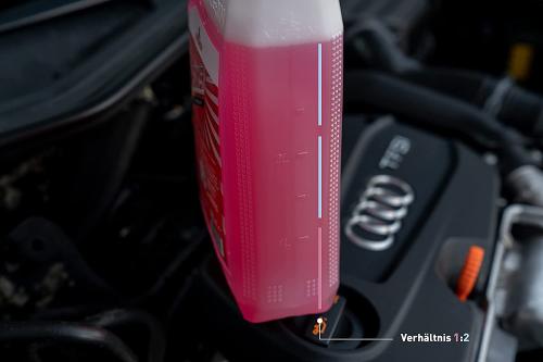 Preview: NIGRIN POWER Scheibenklar Konzentrat 1:2, Grapefruit-Minze-Duft, 3 Liter Kanister 