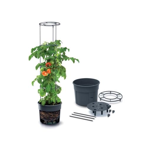 Prosperplast Anzuchttopf für Tomaten mit Rankhilfe - wetterfest & UV-beständig | ideal für Garten & Terrasse (29,5 cm)