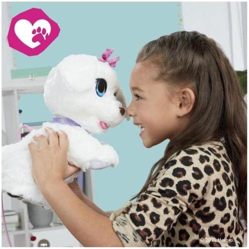 FurReal Hasbro GoGo, Mein tanzendes Hündchen, interaktives, elektronisches Tierchen, 50+ Geräusche und Reaktionen, ab 4 Jahren