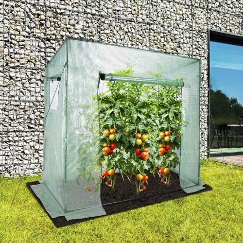 Preview: Haushalt International Gewächshaus 200x77x148/169cm 2Fenster Tomatenhaus Treibhaus Beet Garten Pflanzen