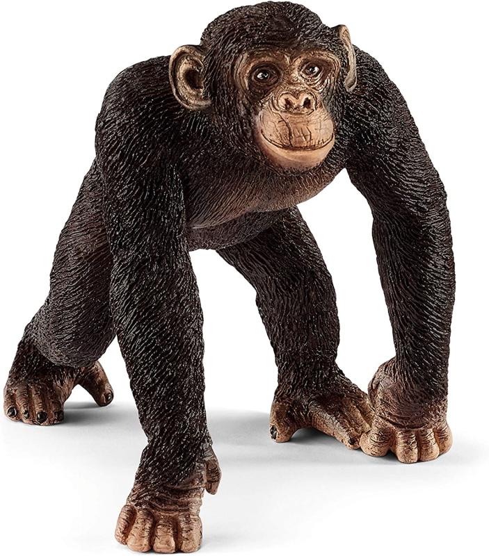 SCHLEICH 72162 Wild Life Basic Kit VERPACKUNGSSCHADEN