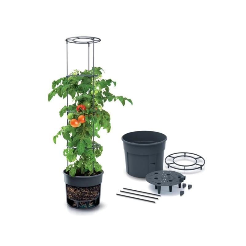 Prosperplast Anzuchttopf für Tomaten mit Rankhilfe - wetterfest & UV-beständig | ideal für Garten & Terrasse (29,5 cm)