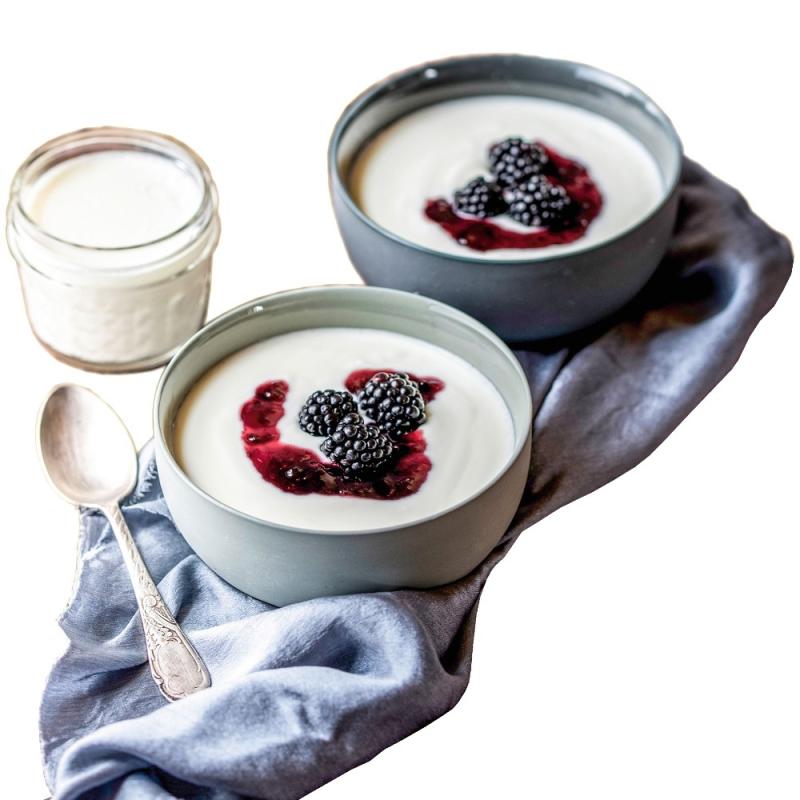 ROMMELSBACHER Joghurt- & Frischkäsebereiter, JG 80 Jona