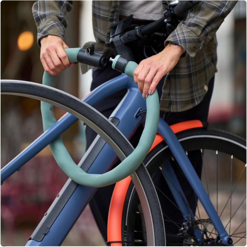 ABUS Kettenschloss Goose Lock – biegsames, klapperfreies Fahrradschloss aus gehärtetem Stahl – 6 mm stark – 110 cm lang – mit Schlüssel – Hellgrün