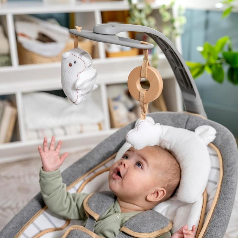 Ingenuity Bella Teddy Babywippe & Babyschaukel, Plüschsitz, Vibration, Musik, klappbar, ab Geburt bis 30 Monate, max. 18 kg