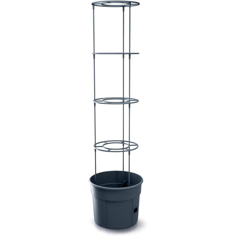 Prosperplast Anzuchttopf für Tomaten mit Rankhilfe - wetterfest & UV-beständig | ideal für Garten & Terrasse (29,5 cm)